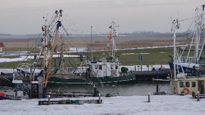 Fischkutter im Hafen