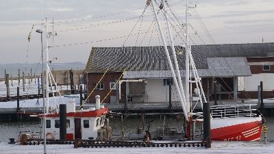 Fischkutter am Hafen